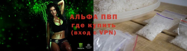 Альфа ПВП Гусев