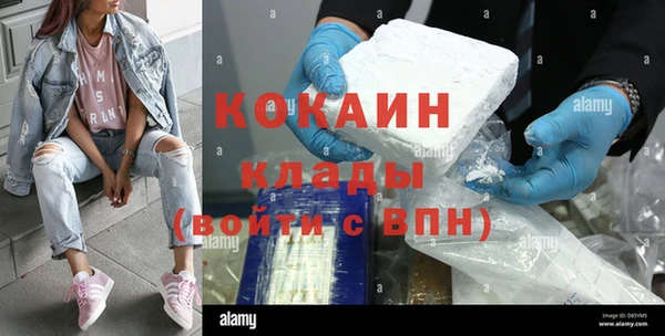 Альфа ПВП Гусев