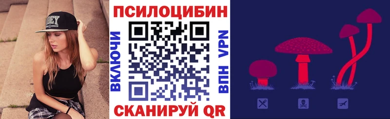 Галлюциногенные грибы ЛСД  Озёры 