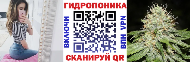 Бошки марихуана SATIVA & INDICA дарнет шоп Озёры